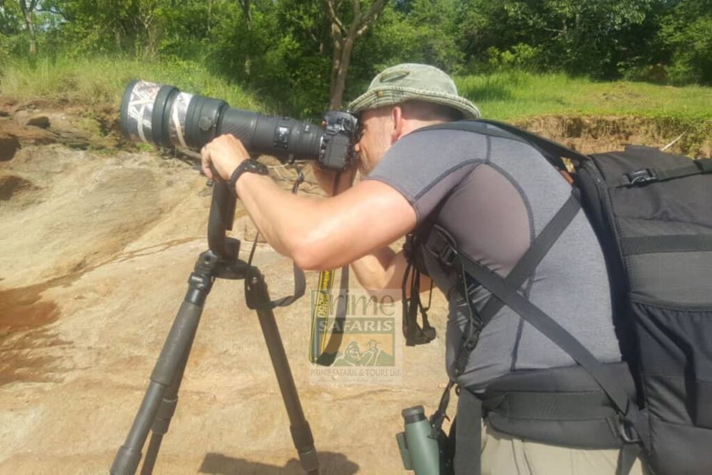 Bird Watching Safaris in Uganda
